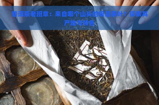 普洱茶老班章：来自哪个山头的极品茶叶？探索其产地与特色