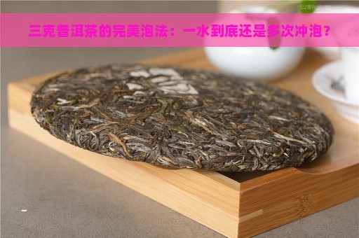 三克普洱茶的完美泡法：一水到底还是多次冲泡？