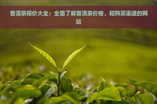 普洱茶报价大全：全面了解普洱茶价格、和购买渠道的网站