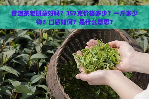 普洱茶老班章好吗？357克价格多少？一斤多少钱？口感如何？是什么意思？