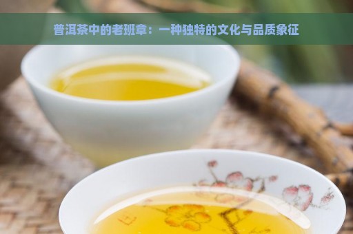 普洱茶中的老班章：一种独特的文化与品质象征