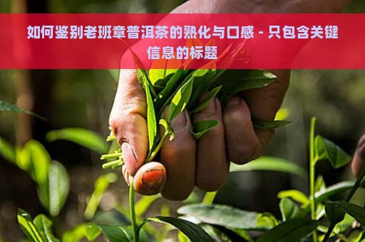 如何鉴别老班章普洱茶的熟化与口感 - 只包含关键信息的标题