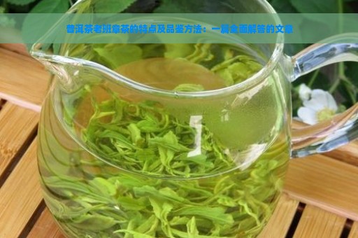 普洱茶老班章茶的特点及品鉴方法：一篇全面解答的文章