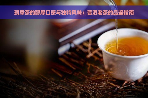 班章茶的醇厚口感与独特风味：普洱老茶的品鉴指南