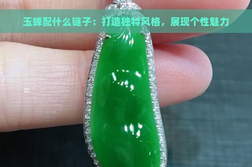 玉蝉配什么链子：打造独特风格，展现个性魅力