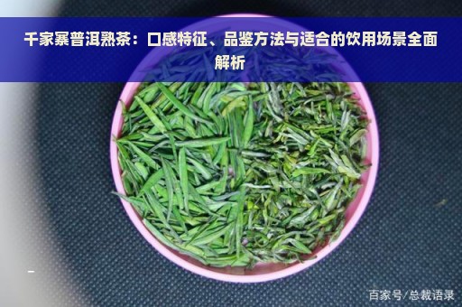 千家寨普洱熟茶：口感特征、品鉴方法与适合的饮用场景全面解析