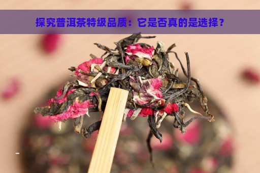 探究普洱茶特级品质：它是否真的是选择？