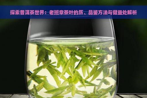 探索普洱茶世界：老班章茶叶的历、品鉴方法与健益处解析