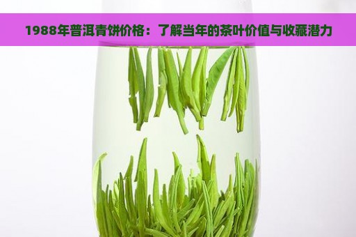 1988年普洱青饼价格：了解当年的茶叶价值与收藏潜力