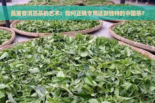 品鉴普洱熟茶的艺术：如何正确享用这款独特的中国茶？