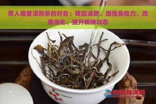 男人喝普洱熟茶的好处：降脂减肥、增强免疫力、改善消化、提升精神状态