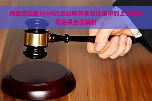 网商贷逾期1000元的影响及其在征信中的上诉期限和后果全面解析