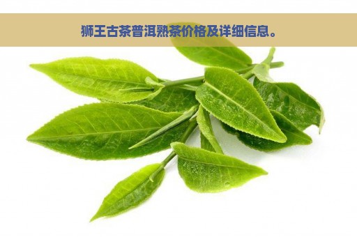 狮王古茶普洱熟茶价格及详细信息。