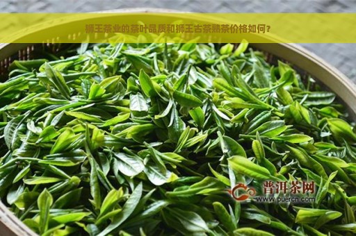 狮王茶业的茶叶品质和狮王古茶熟茶价格如何？