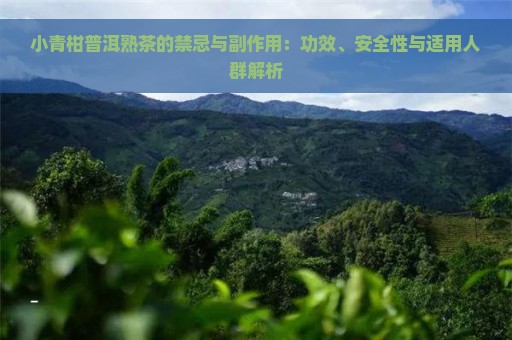 小青柑普洱熟茶的禁忌与副作用：功效、安全性与适用人群解析