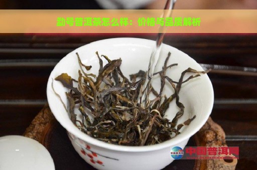 勐号普洱茶怎么样：价格与品质解析