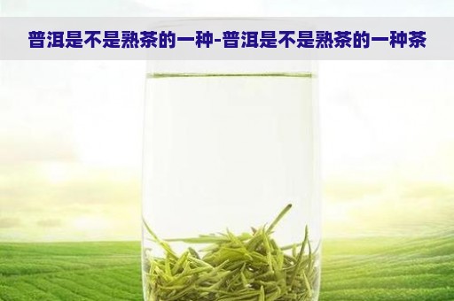 普洱是不是熟茶的一种-普洱是不是熟茶的一种茶