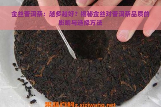 金丝普洱茶：越多越好？揭秘金丝对普洱茶品质的影响与选择方法