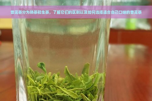 普洱茶分为熟茶和生茶，了解它们的区别以及如何选择适合自己口味的普洱茶