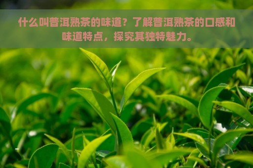 什么叫普洱熟茶的味道？了解普洱熟茶的口感和味道特点，探究其独特魅力。