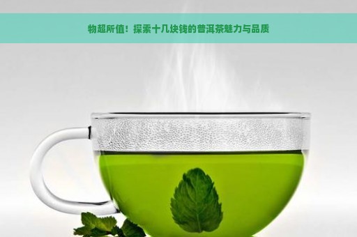 物超所值！探索十几块钱的普洱茶魅力与品质