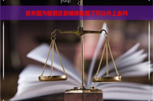 京东因为提前还款被降额度了可以升上去吗