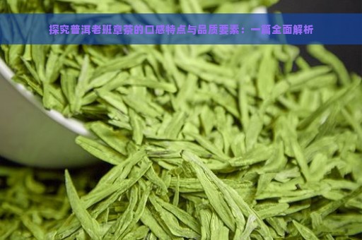 探究普洱老班章茶的口感特点与品质要素：一篇全面解析