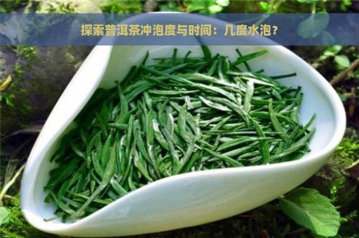 探索普洱茶冲泡度与时间：几度水泡？