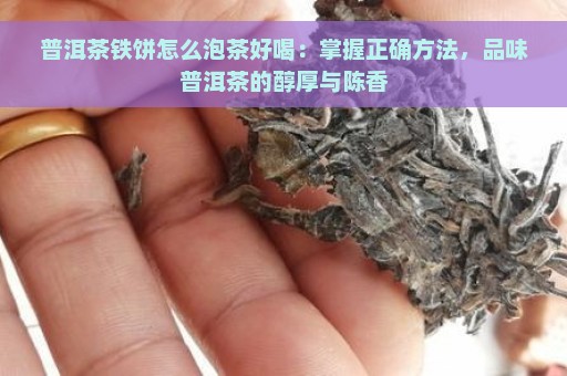 普洱茶铁饼怎么泡茶好喝：掌握正确方法，品味普洱茶的醇厚与陈香