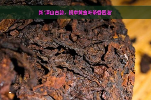 新 '深山古韵，班章黄金叶茶香四溢'