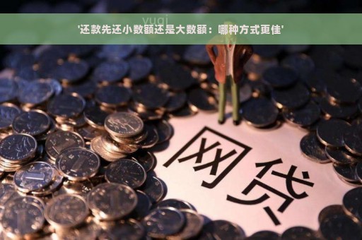 '还款先还小数额还是大数额：哪种方式更佳'