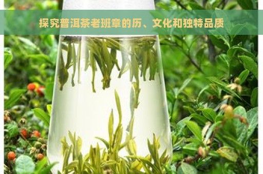 探究普洱茶老班章的历、文化和独特品质