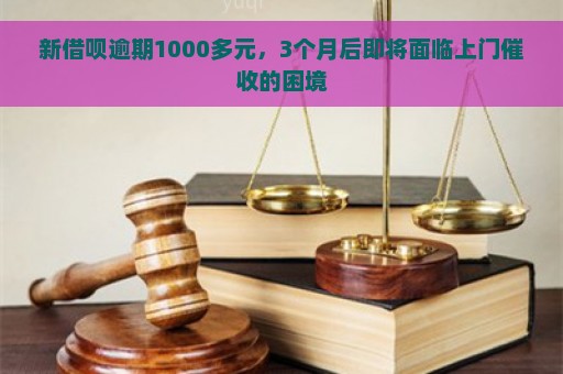 新借呗逾期1000多元，3个月后即将面临上门催收的困境