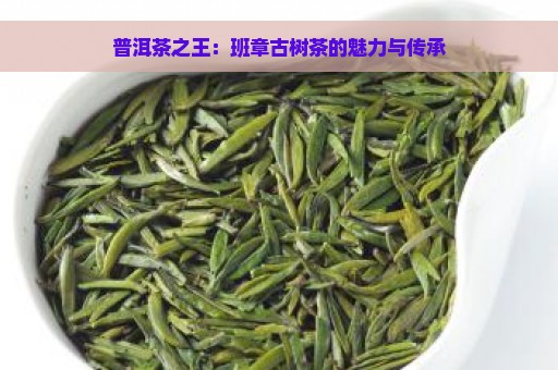 普洱茶之王：班章古树茶的魅力与传承