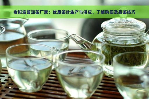 老班章普洱茶厂家：优质茶叶生产与供应，了解购买及品鉴技巧