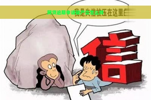 网贷逾期申请破产会怎么样