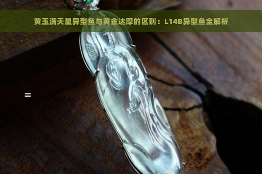 黄玉满天星异型鱼与黄金达摩的区别：L14B异型鱼全解析