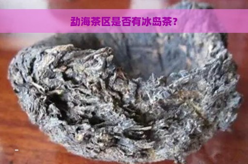 勐海茶区是否有冰岛茶？