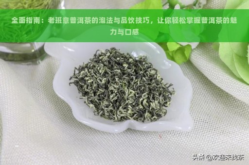 全面指南：老班章普洱茶的泡法与品饮技巧，让你轻松掌握普洱茶的魅力与口感