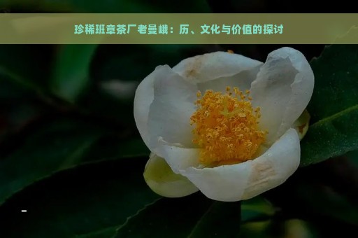 珍稀班章茶厂老曼峨：历、文化与价值的探讨