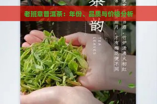 老班章普洱茶：年份、品质与价格分析