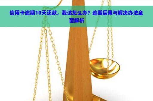 信用卡逾期10天还款，我该怎么办？逾期后果与解决办法全面解析