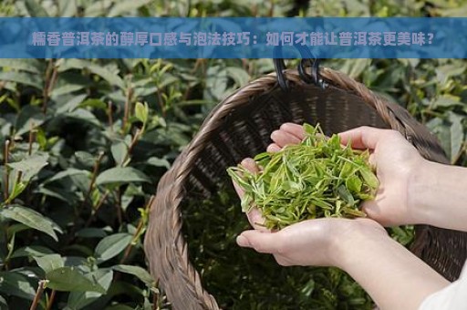 糯香普洱茶的醇厚口感与泡法技巧：如何才能让普洱茶更美味？