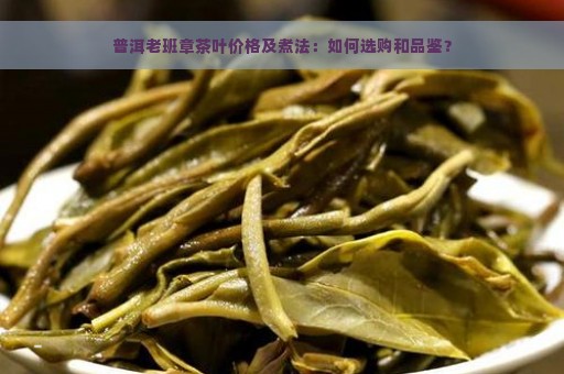 普洱老班章茶叶价格及煮法：如何选购和品鉴？