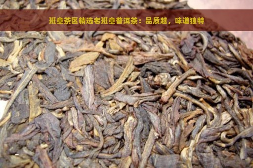 班章茶区精选老班章普洱茶：品质越，味道独特