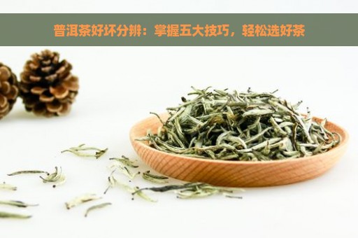 普洱茶好坏分辨：掌握五大技巧，轻松选好茶