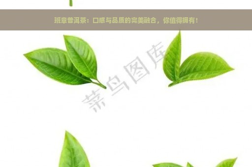 班章普洱茶：口感与品质的完美融合，你值得拥有！