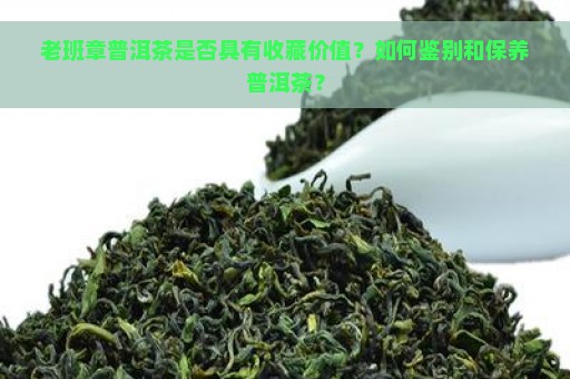 老班章普洱茶是否具有收藏价值？如何鉴别和保养普洱茶？