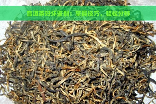 普洱茶好坏鉴别：掌握技巧，轻松分辨