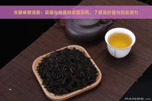 古寨春普洱茶：品鉴与收藏的全面指南，了解其价值与投资潜力